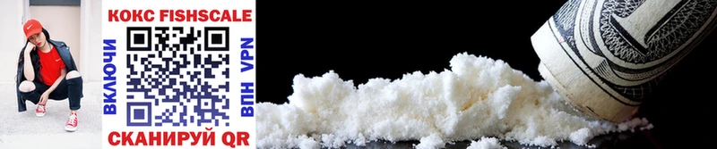 Cocaine FishScale  наркота  Грязи 
