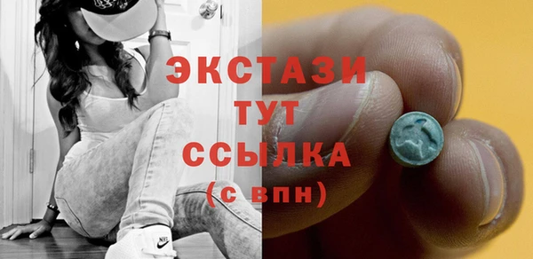 индика Горно-Алтайск