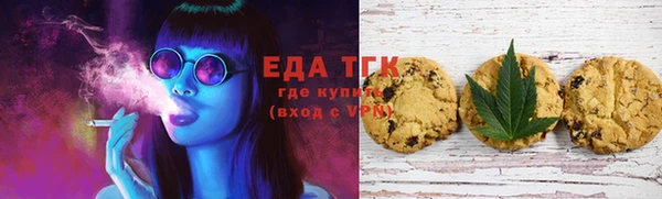 индика Горно-Алтайск