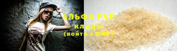 индика Горно-Алтайск