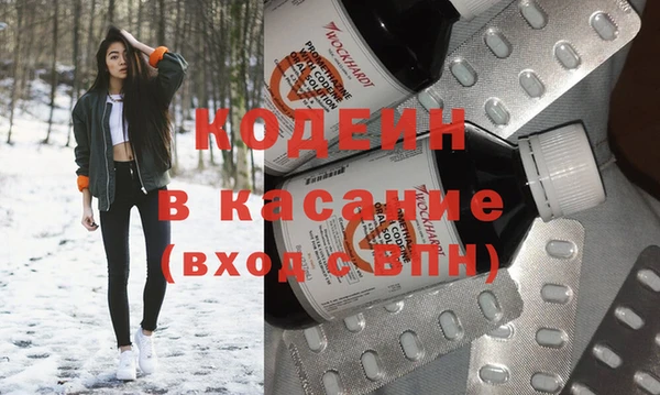 индика Горно-Алтайск