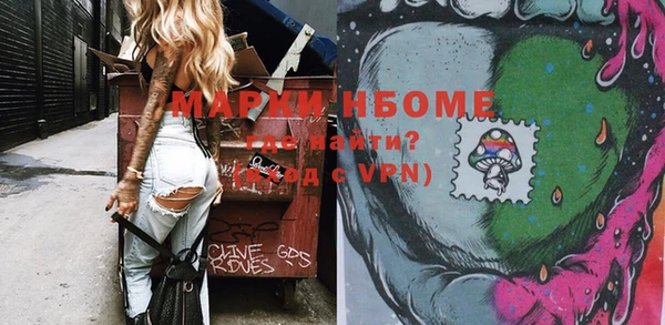индика Горно-Алтайск