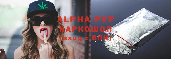 индика Горно-Алтайск