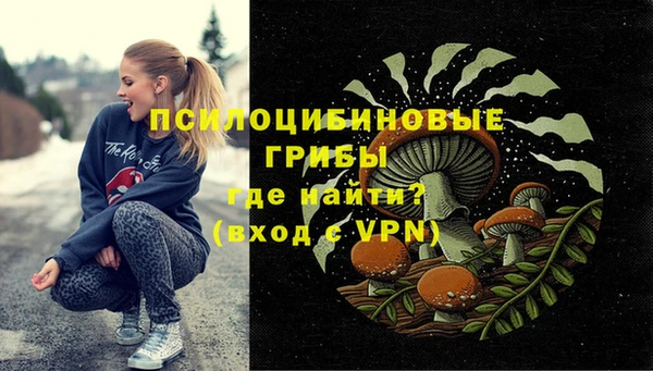 индика Горно-Алтайск