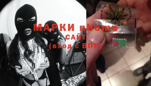 индика Горно-Алтайск