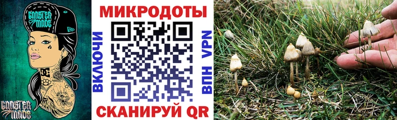 Псилоцибиновые грибы Cubensis  Грязи 