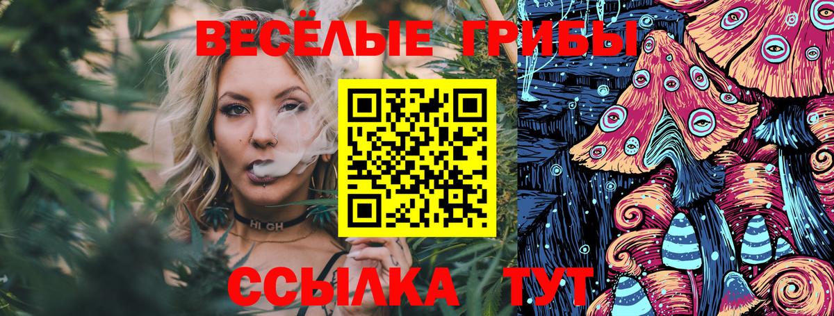 Псилоцибиновые грибы прущие грибы Грязи